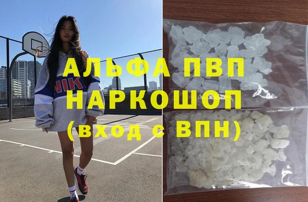 прущие грибы Верхнеуральск