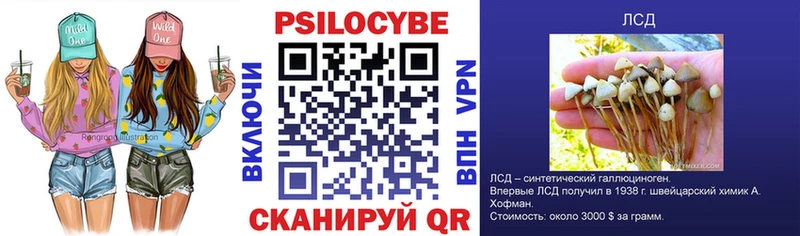 Галлюциногенные грибы GOLDEN TEACHER  Купить  Макаров 